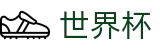 FIFA世界杯 | 世界杯网页版登录 - 2026世界杯官方买球站